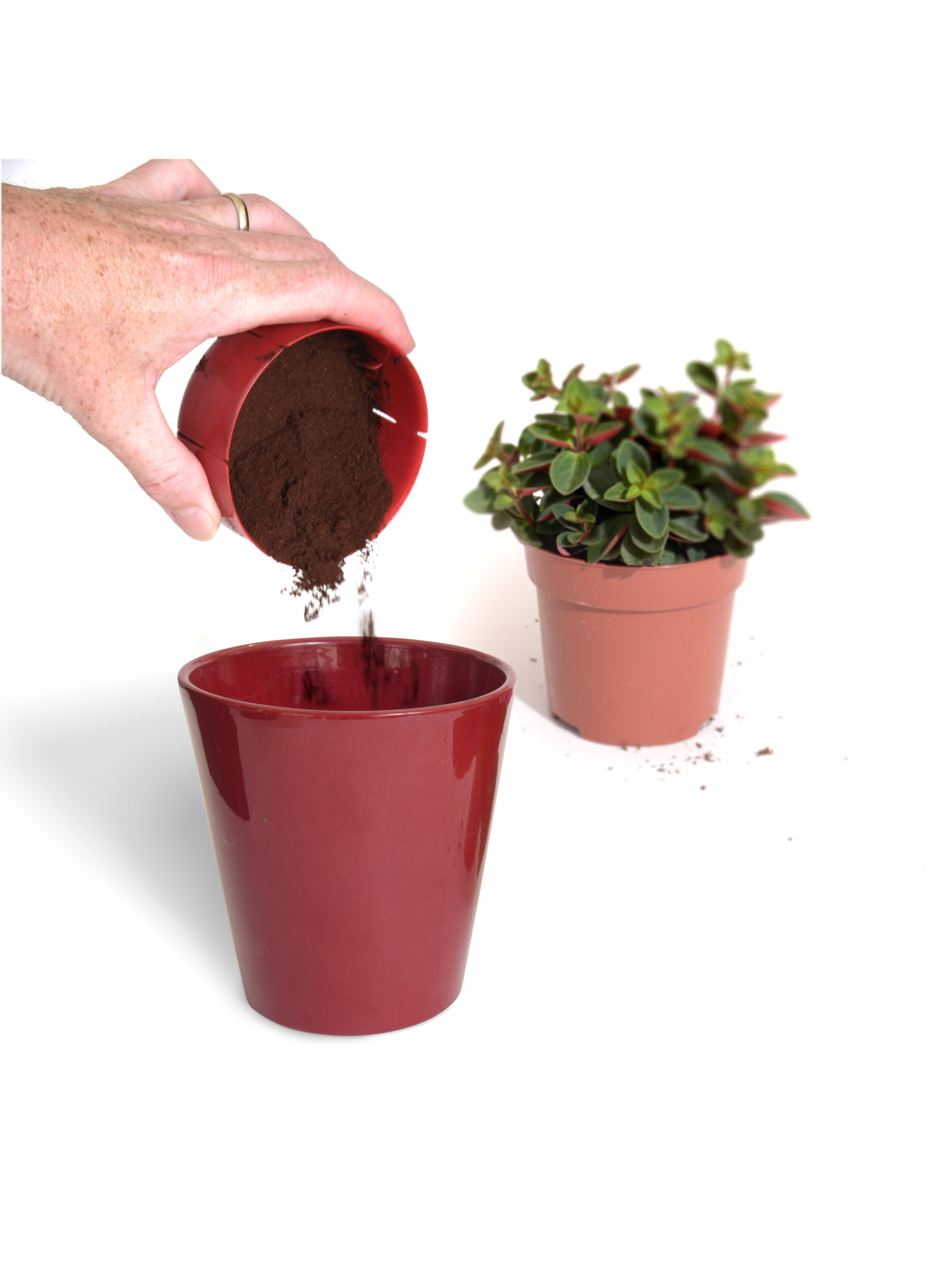 https://www.aerolatte.com/wp-content/uploads/2022/07/065-aerolatte-coffee-grounds-catcher-recycle-105_green-flower_52194499652_o-scaled.jpg